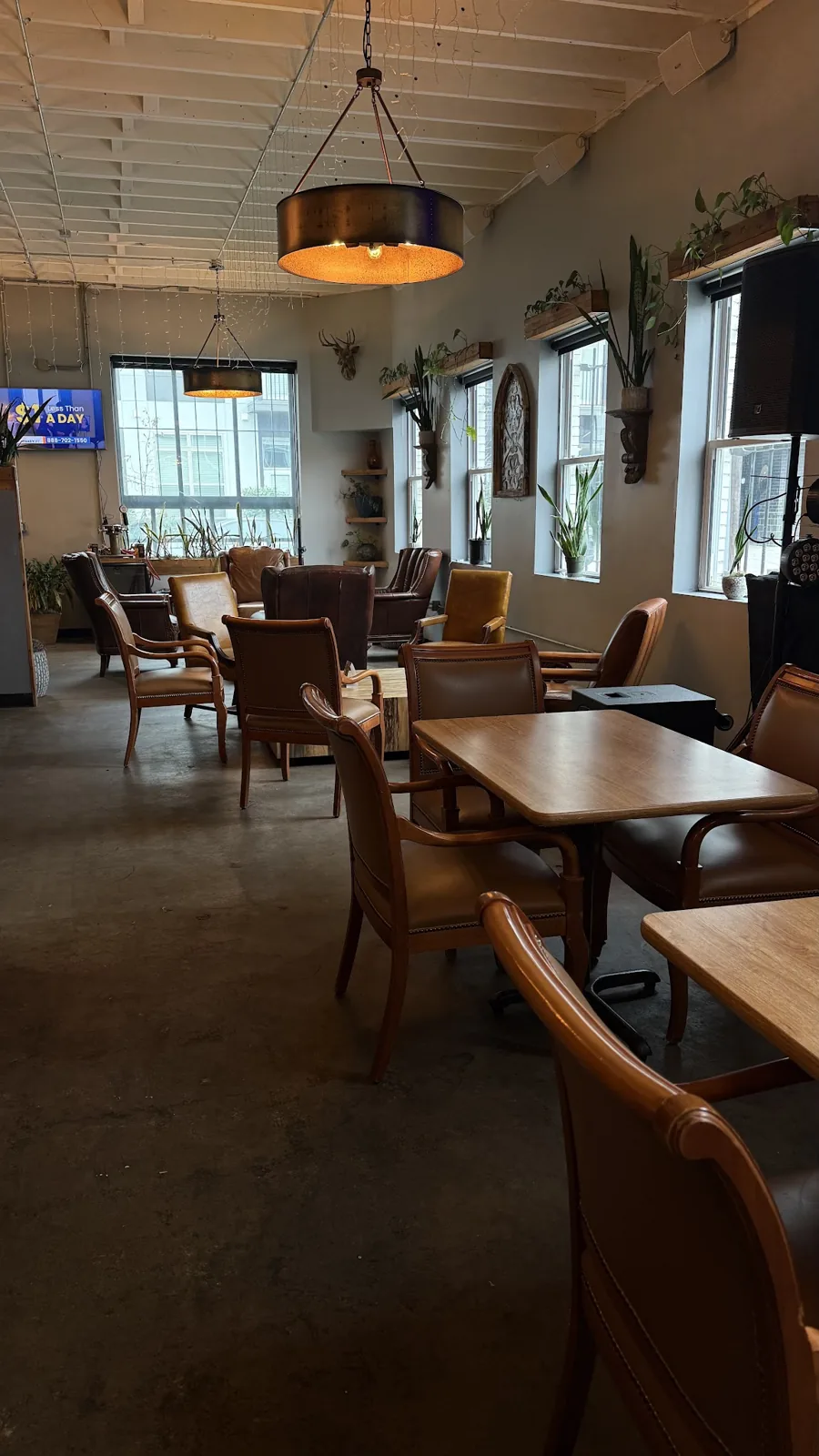 Indigo Tea & Coffee Co. photo 2