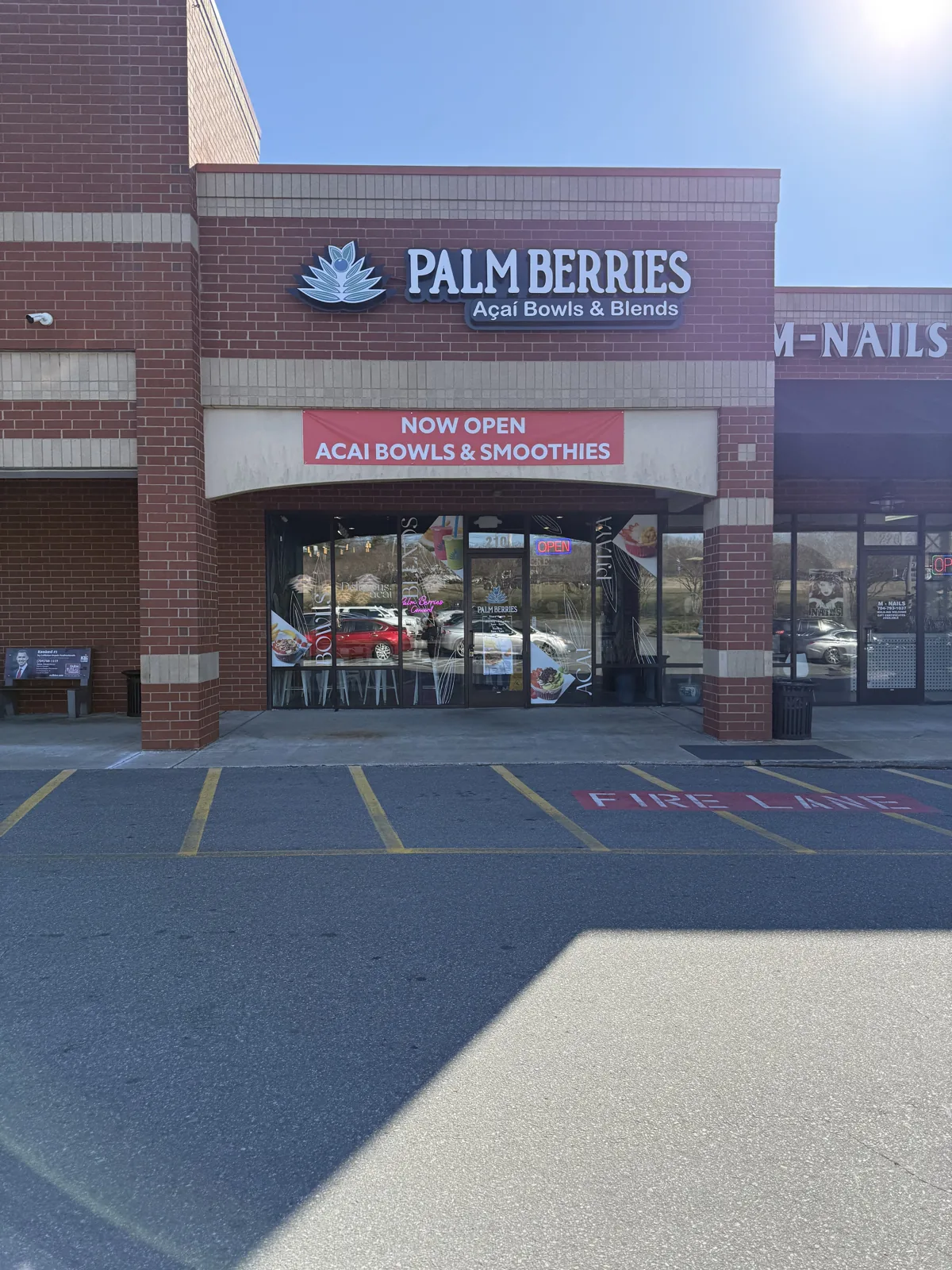 Palm Berries | Concord photo 10