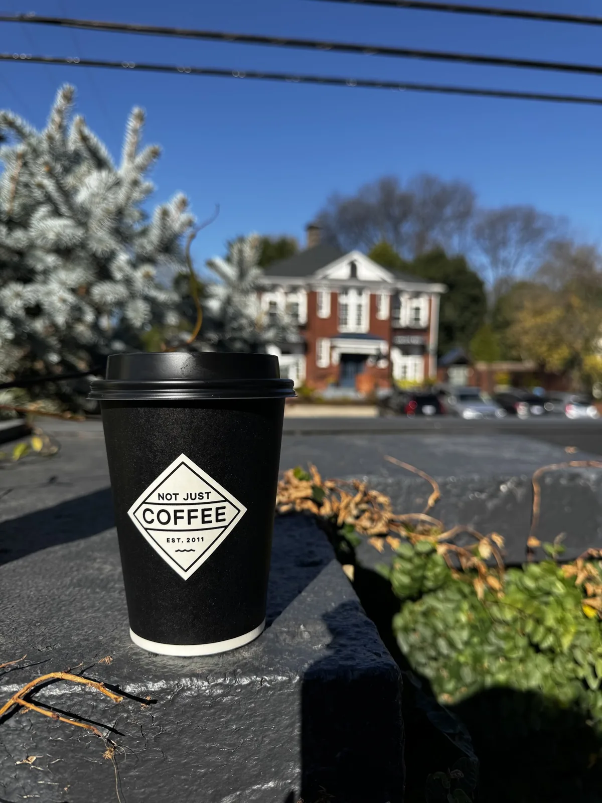 Not Just Coffee | Eastover photo 2