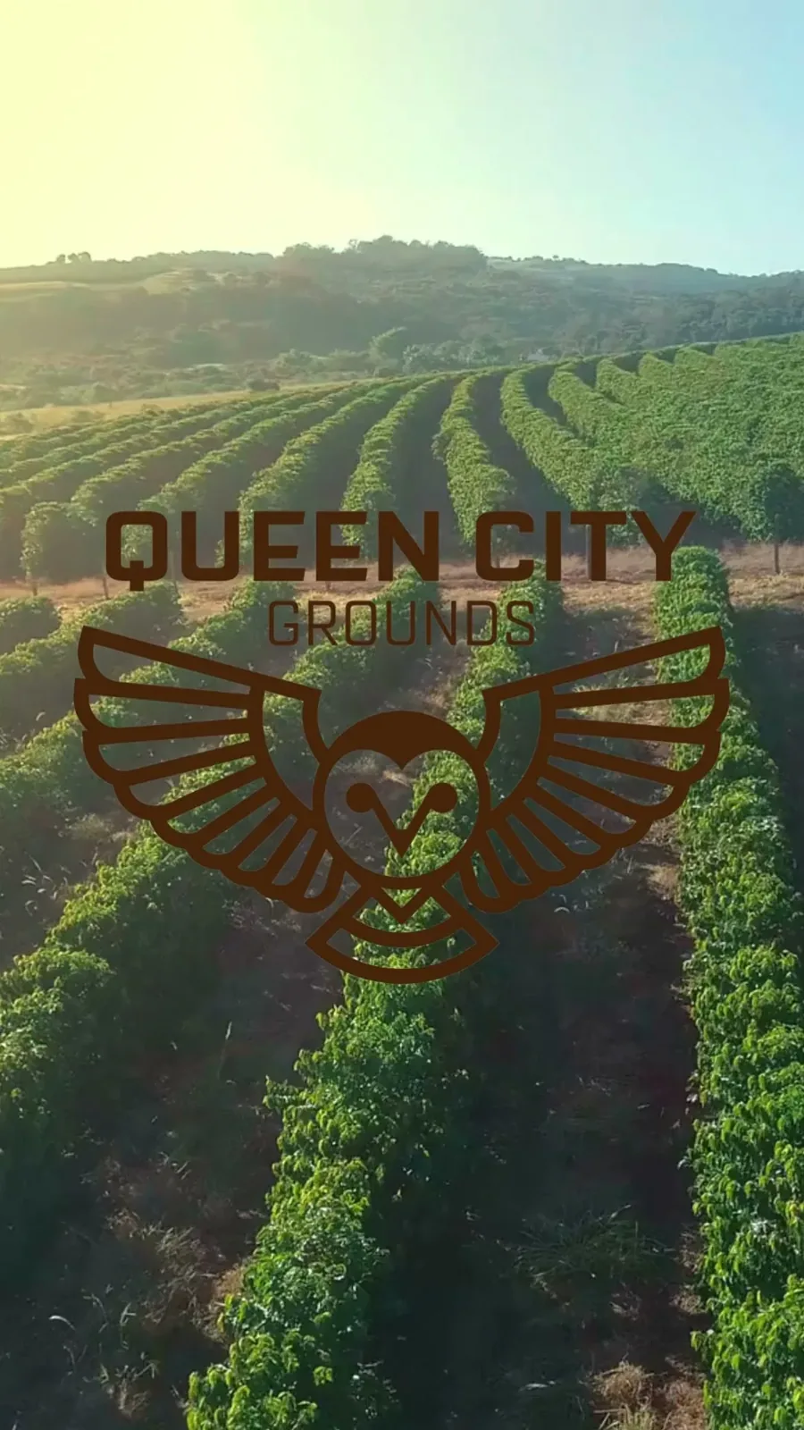 Queen City Grounds | The Refinery photo 2