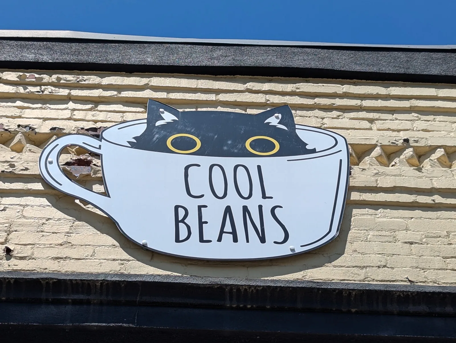 Cool Beans Cat Cafe photo 2