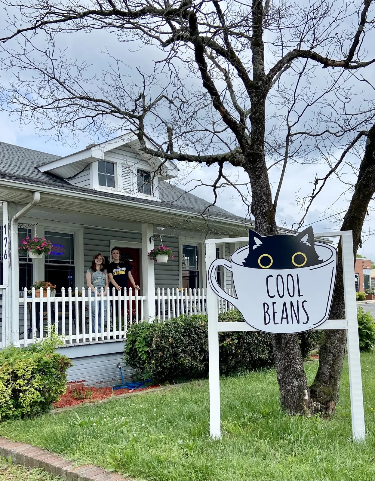 Cool Beans Cat Cafe photo 1