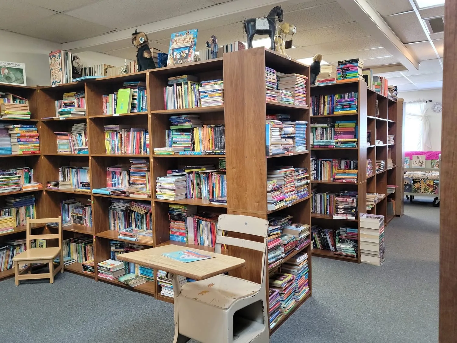 The Book Lady photo 16