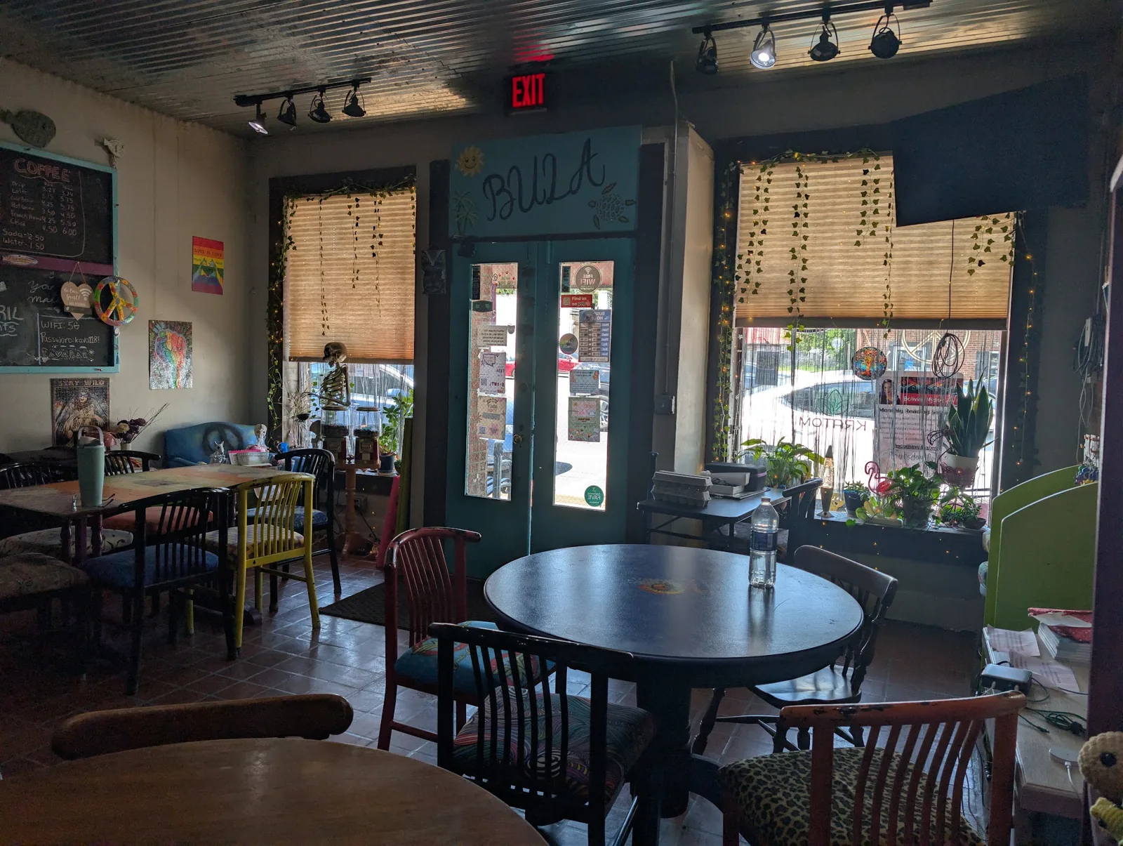 North Main Kava Bar photo 2