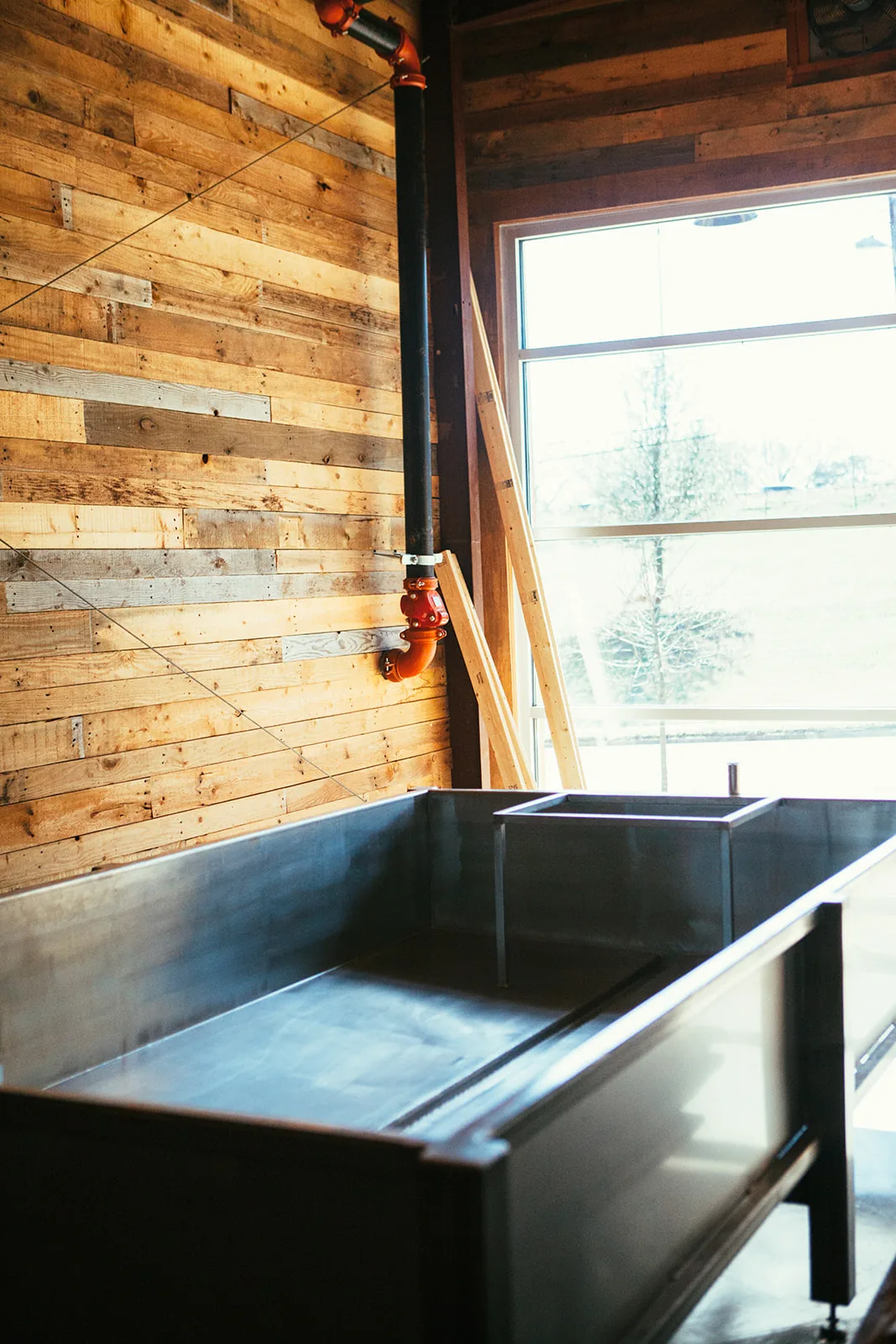 Resident Culture | Plaza Midwood photo 30