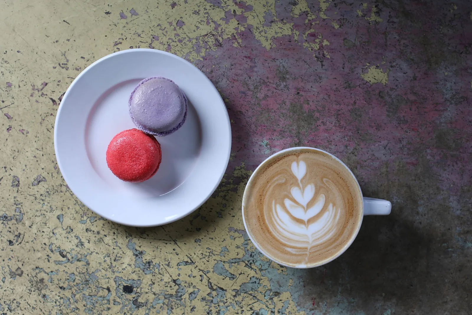 Amélie’s French Bakery & Café | NoDa photo 24