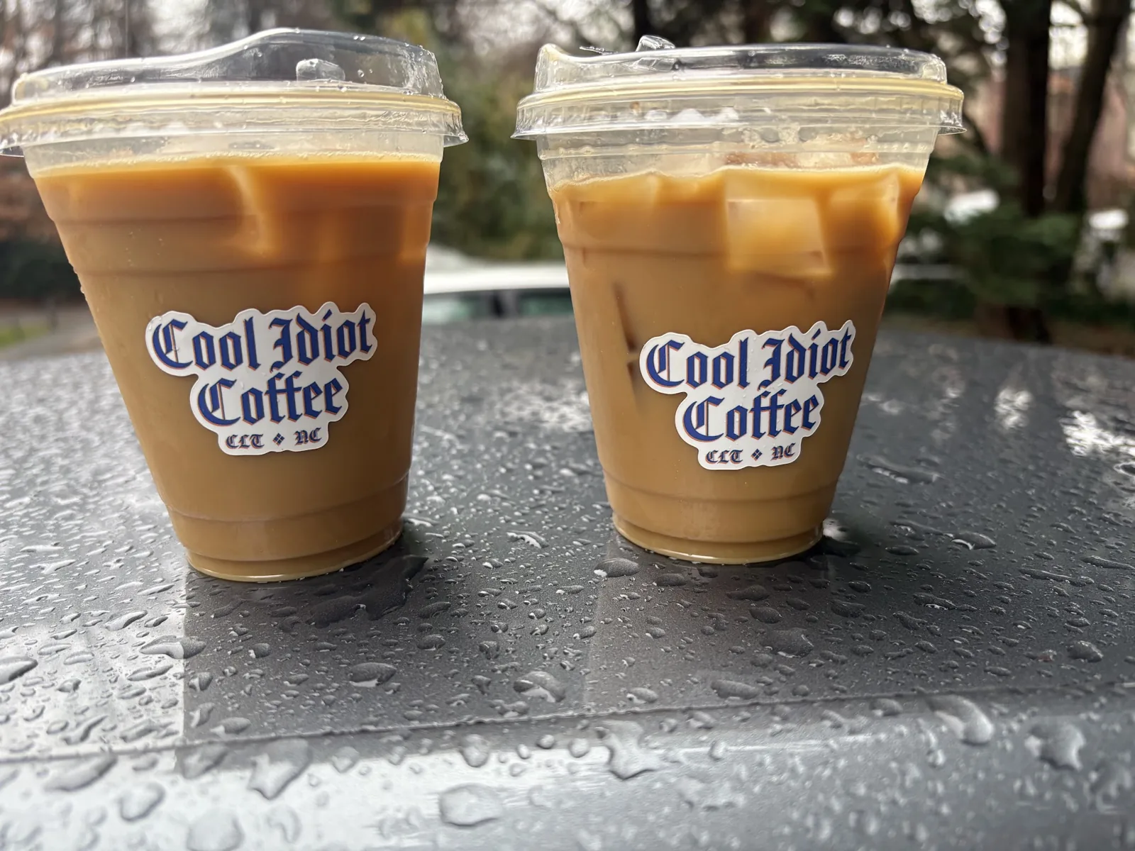 Cool Idiot Coffee photo 38