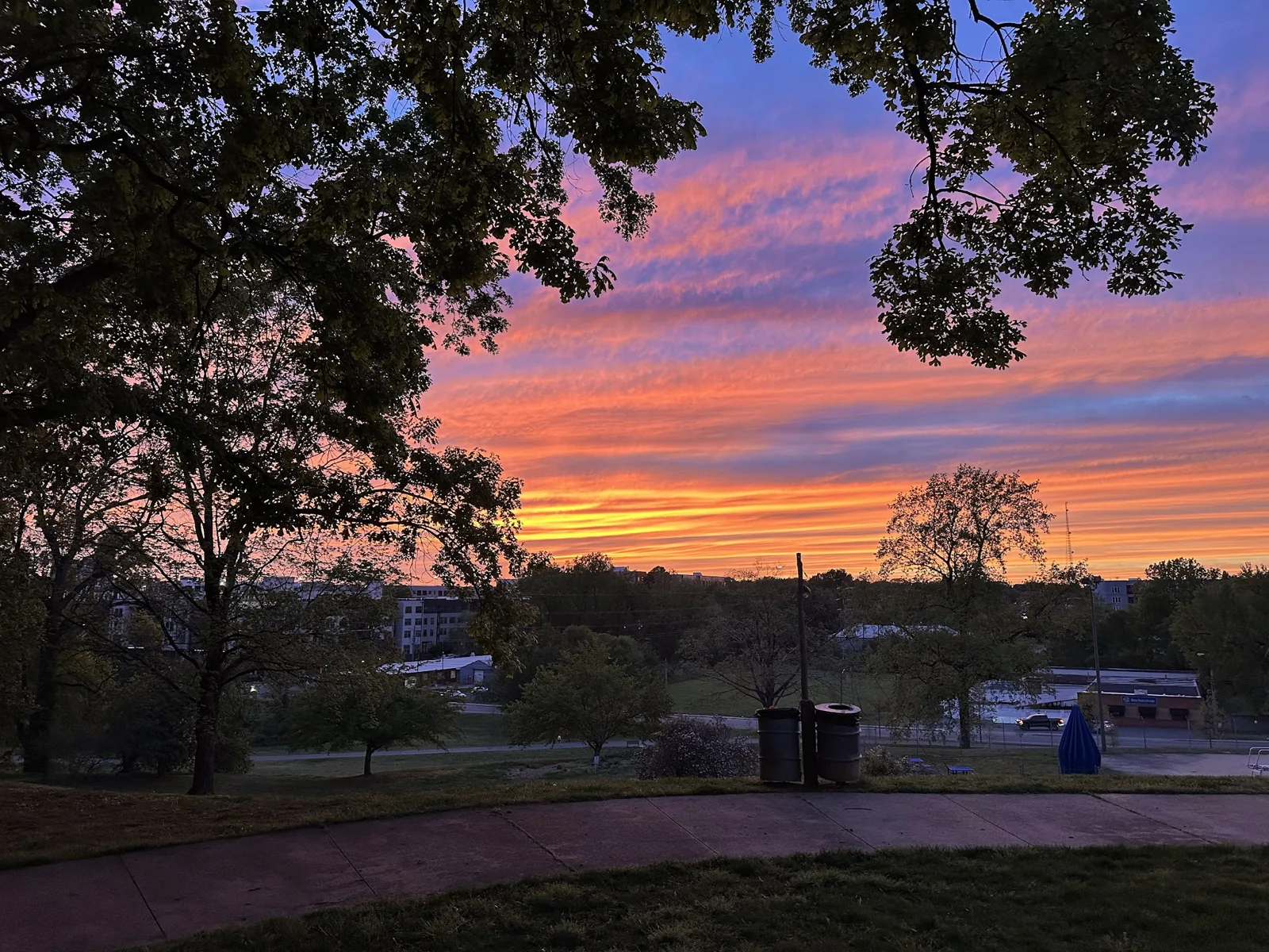 Cordelia Park photo 2