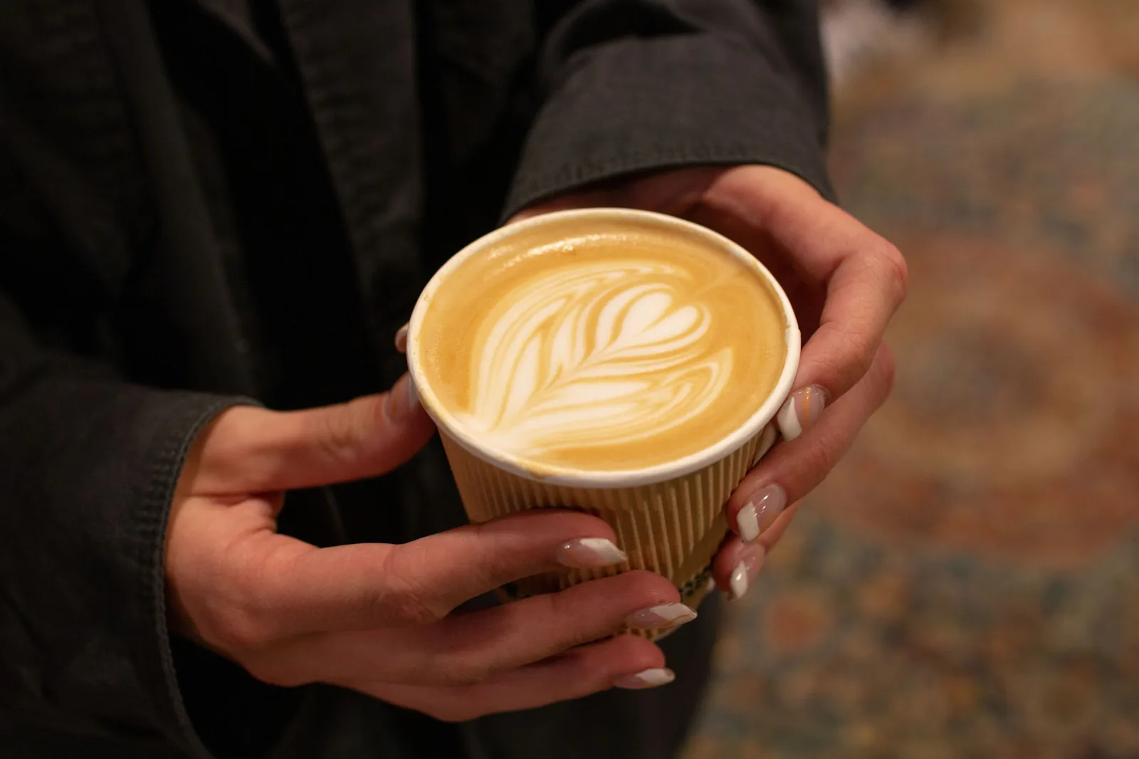 Provided Coffee | NoDa photo 6
