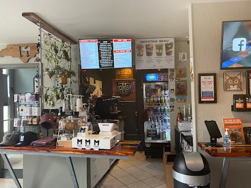 Mac Tabby Cat Café | NoDa photo 2