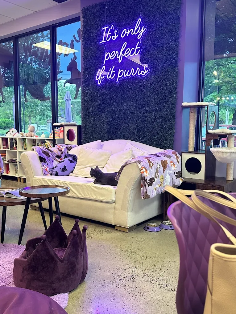 Purrfect Pair Cat Cafe photo 2