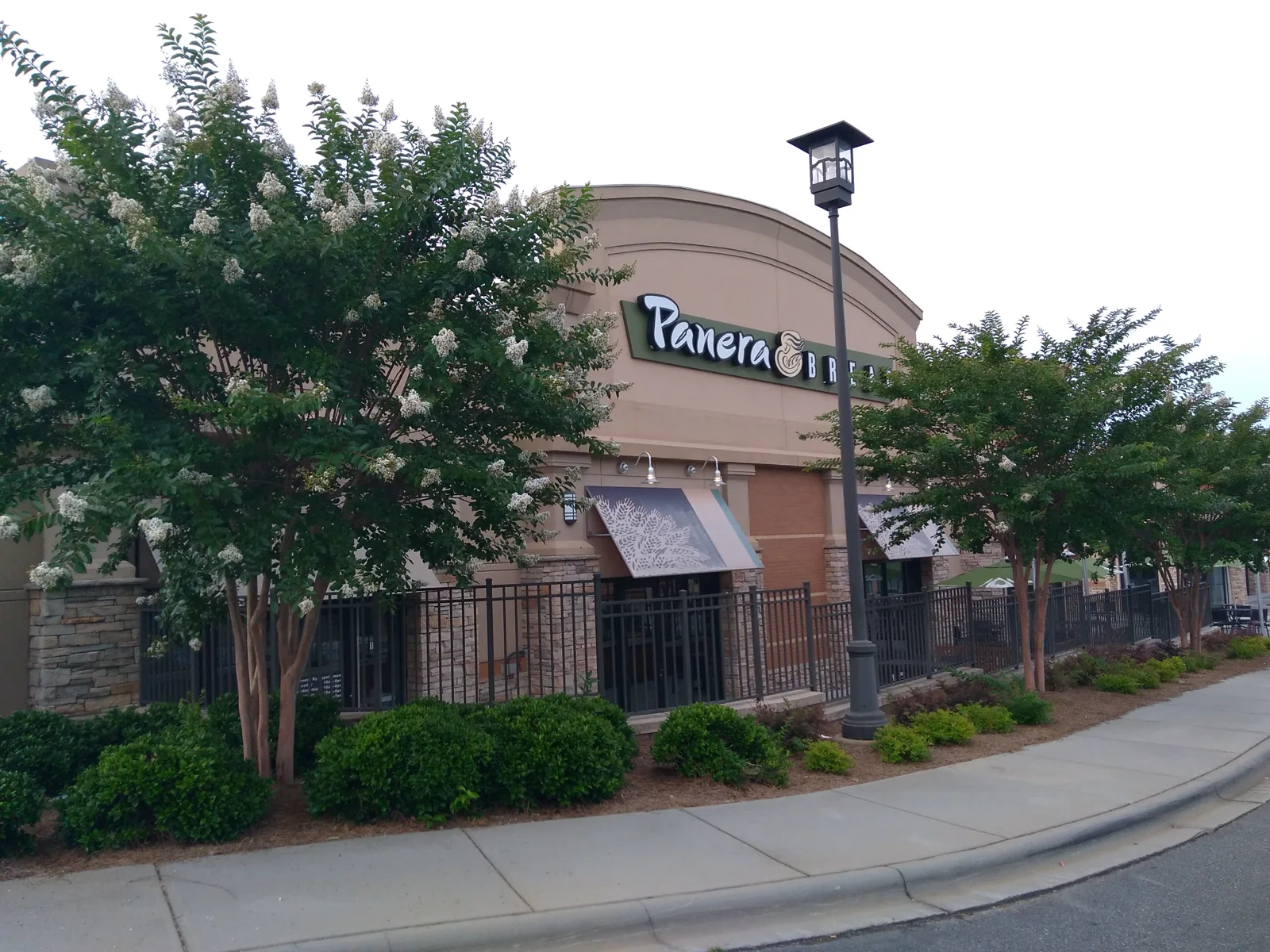 Panera Bread | Northlake photo 1