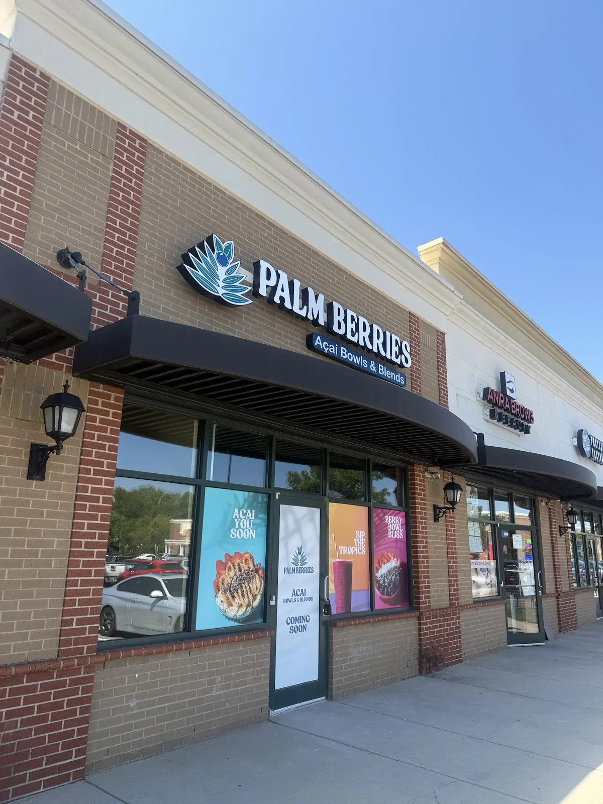 Palm Berries | Ardrey Kell photo 2